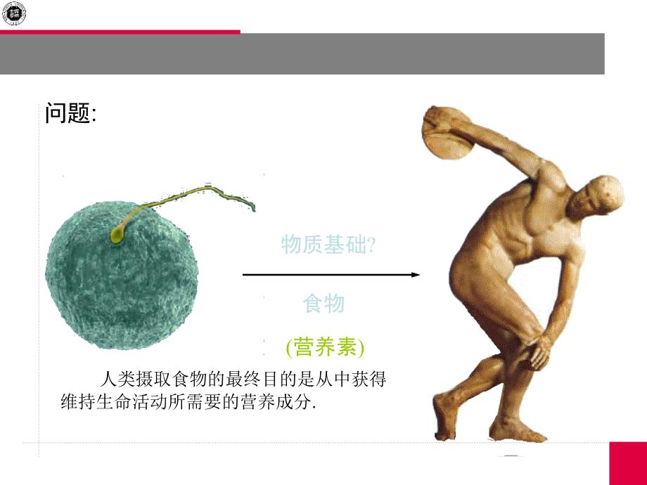 上课2营养学基础_第2页