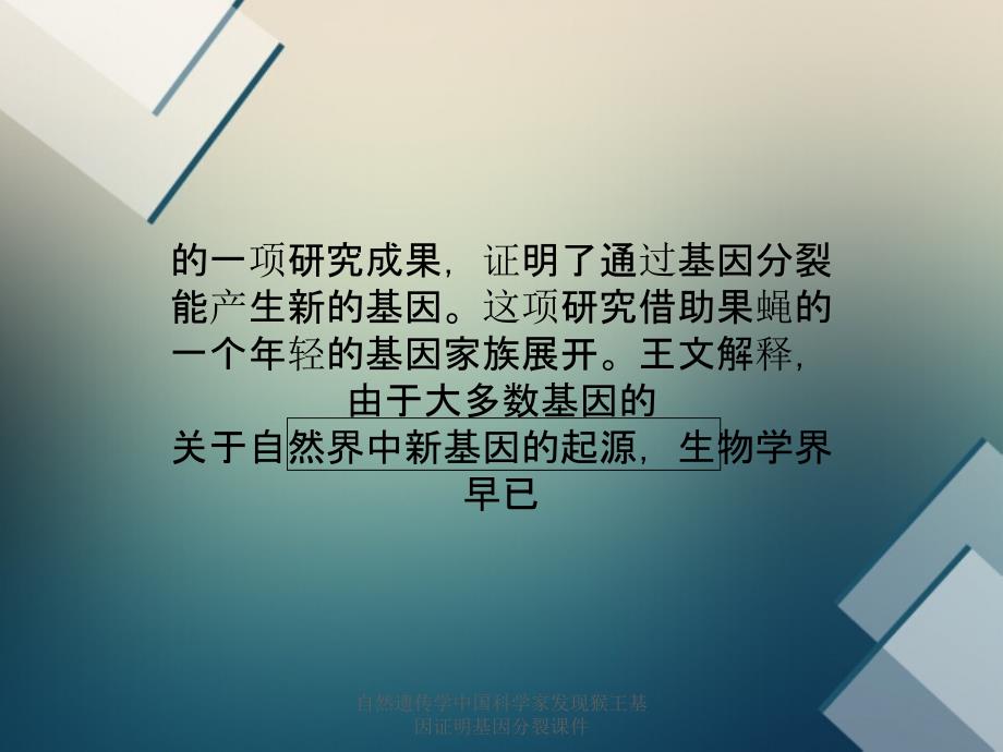 自然遗传学中国科学家发现猴王基因证明基因分裂课件_第2页