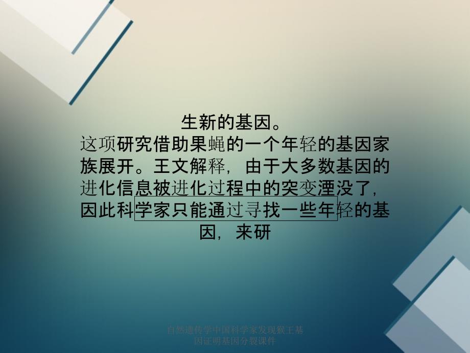 自然遗传学中国科学家发现猴王基因证明基因分裂课件_第4页