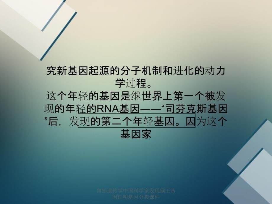 自然遗传学中国科学家发现猴王基因证明基因分裂课件_第5页