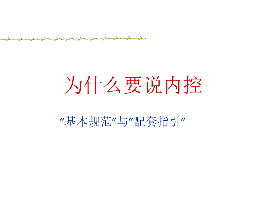 内部控制与风险管理：案例与操作.ppt_第2页