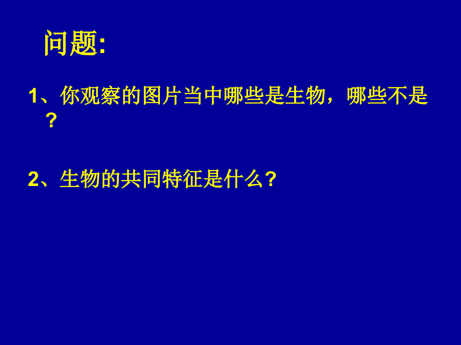 【初中生物】细胞的基本结构和功能PPT课件1_第2页