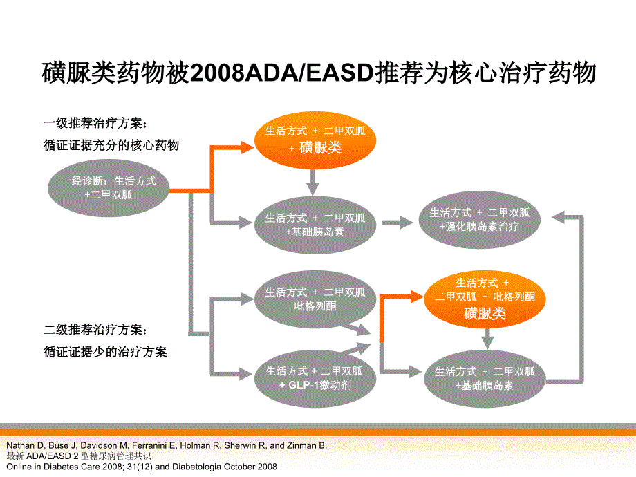 常用磺脲类药物作用机制的深入探讨_第4页