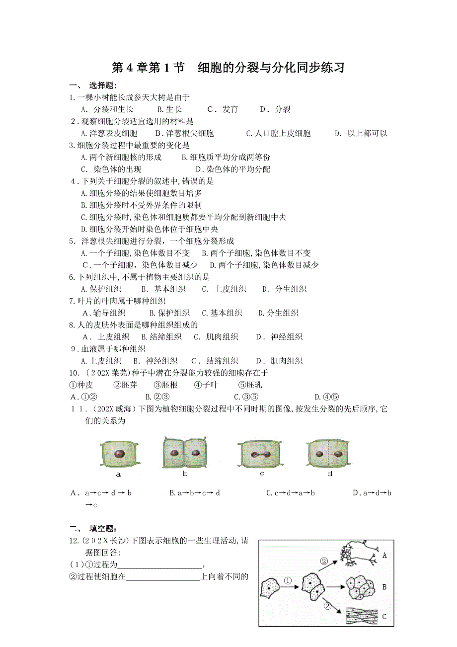 4.1细胞的分裂与分化同步练习苏教版七年级上初中生物_第1页