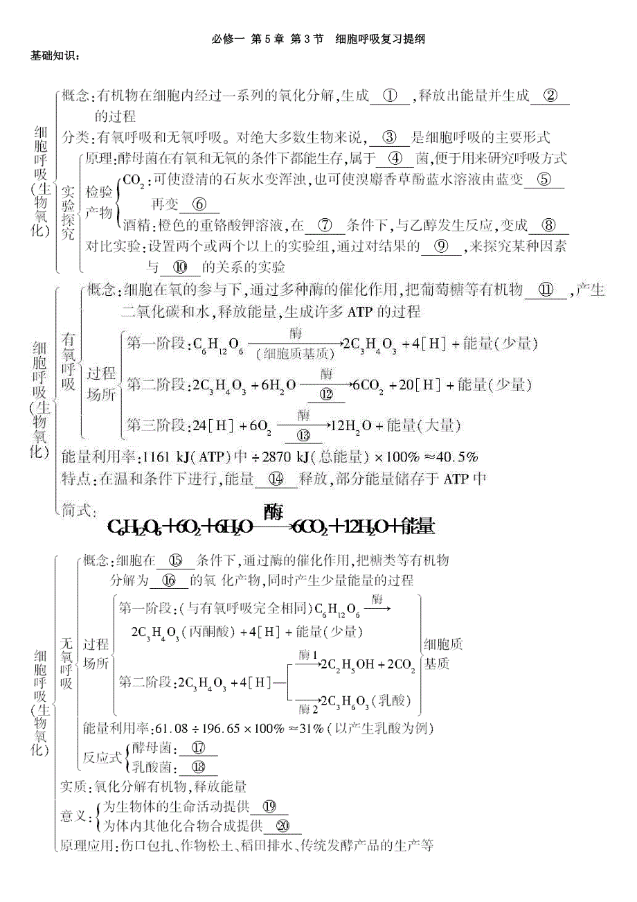 1.5.3__细胞呼吸_复习提纲 辅导班.doc_第1页