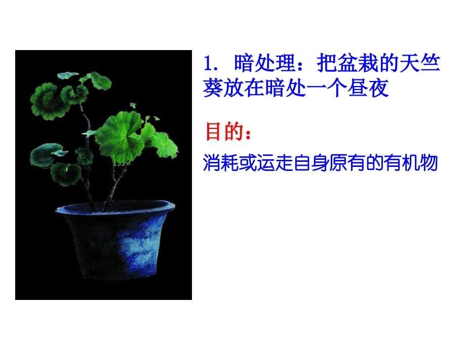 第四章-绿色植物是生物圈中有机物的制造者课件_第5页