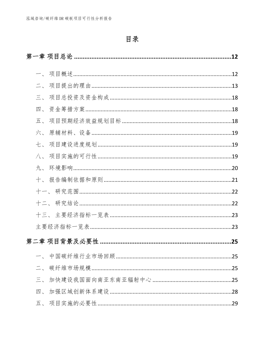 碳纤维DR碳板项目可行性分析报告【范文参考】_第2页