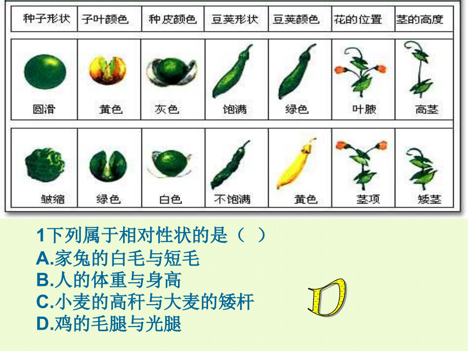 高三生物一轮复习必修二全册通用课件_第4页