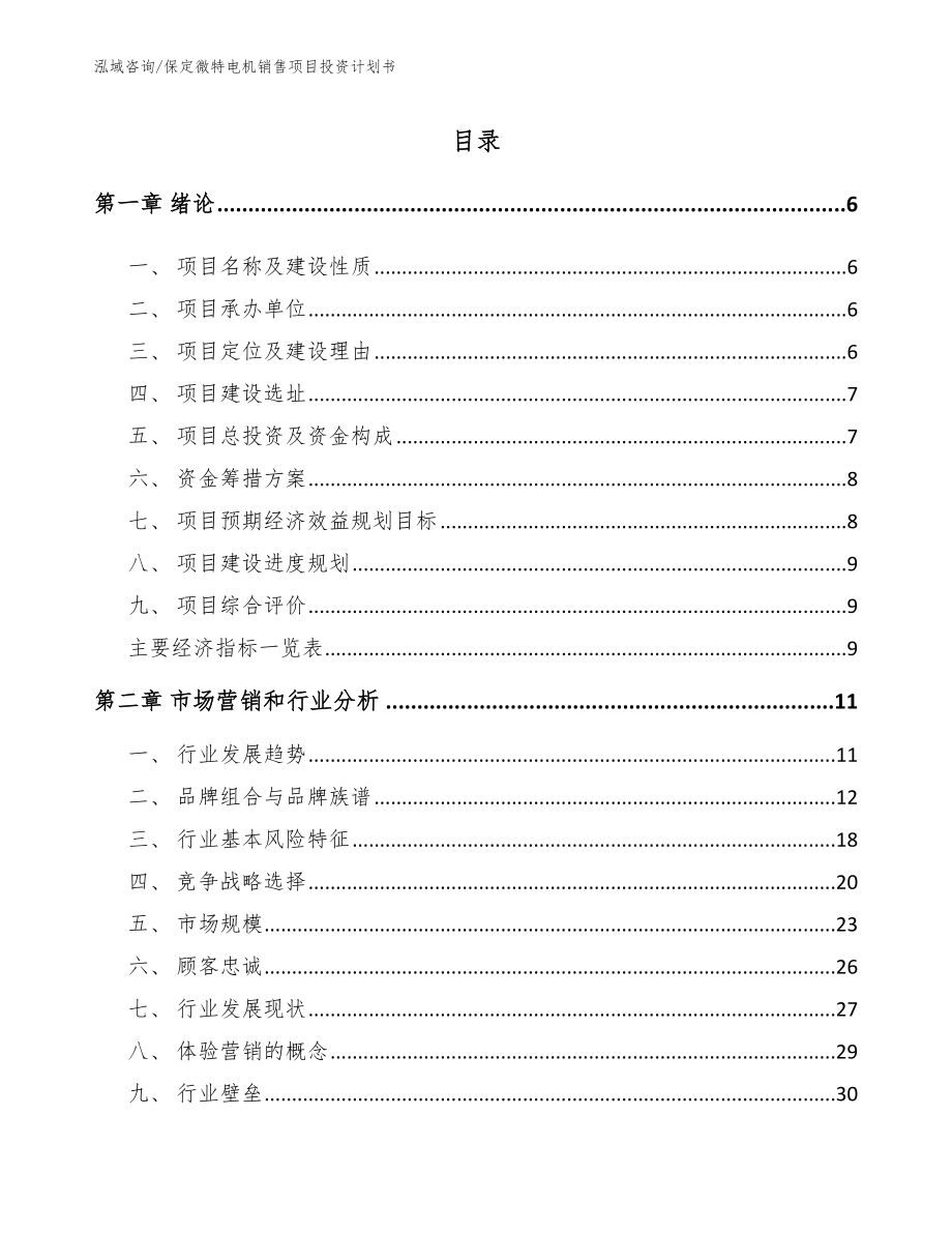 保定微特电机销售项目投资计划书（模板参考）_第2页