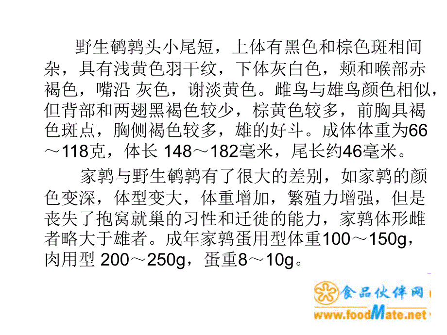 鹌鹑的养殖技术_第4页