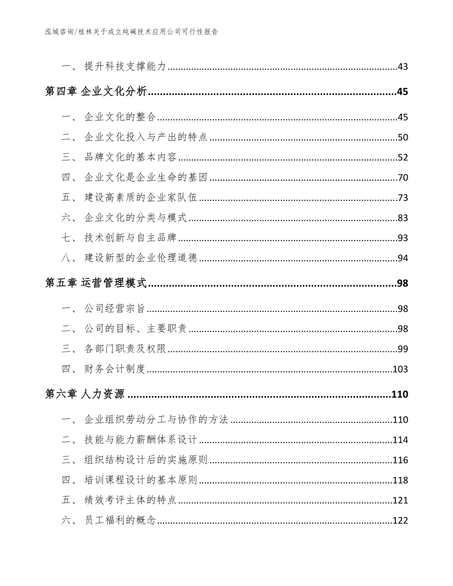 桂林关于成立纯碱技术应用公司可行性报告_第2页