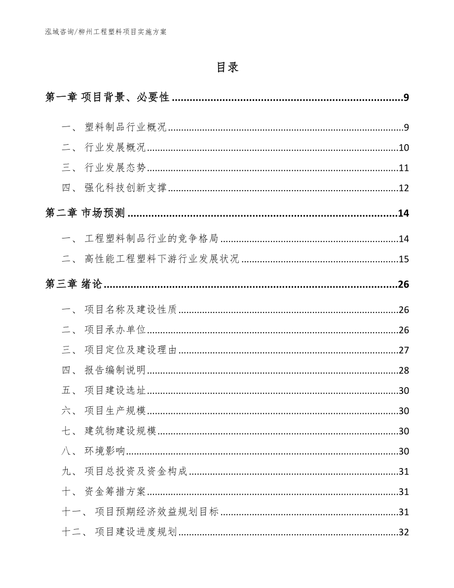 柳州工程塑料项目实施方案_第2页