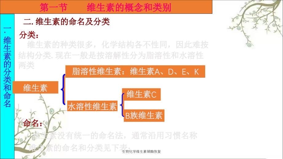 生物化学维生素辅酶恢复_第2页