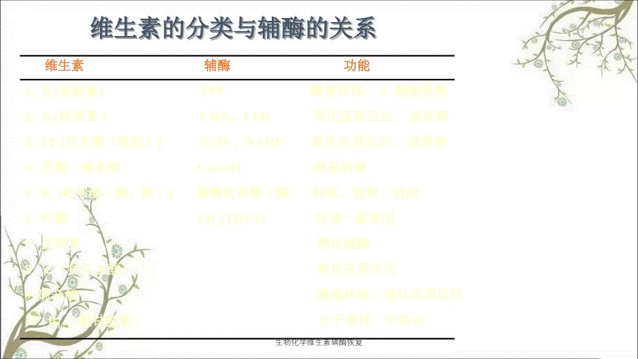 生物化学维生素辅酶恢复_第3页