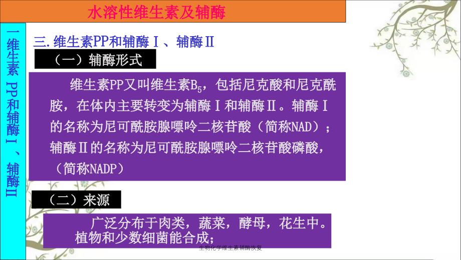 生物化学维生素辅酶恢复_第4页