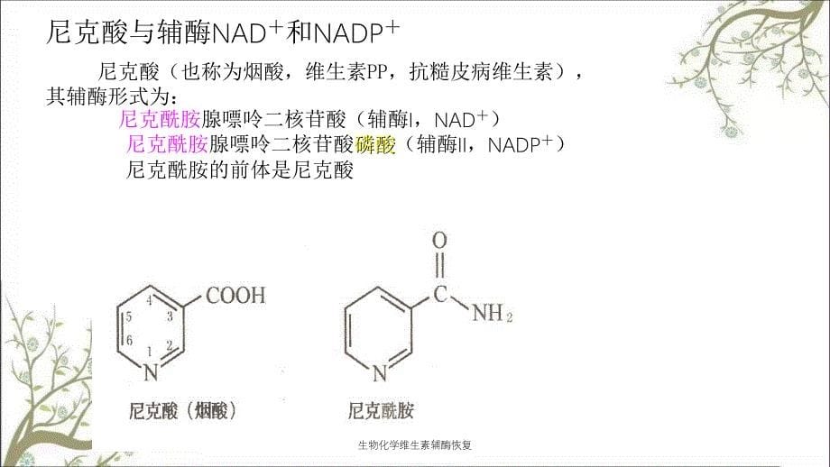 生物化学维生素辅酶恢复_第5页