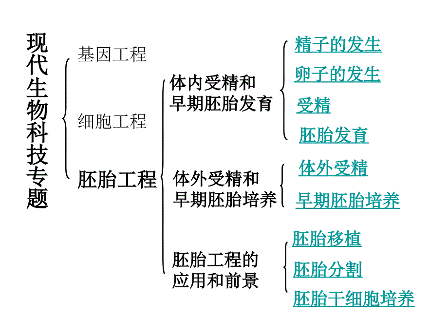 专题三胚胎工程_第2页