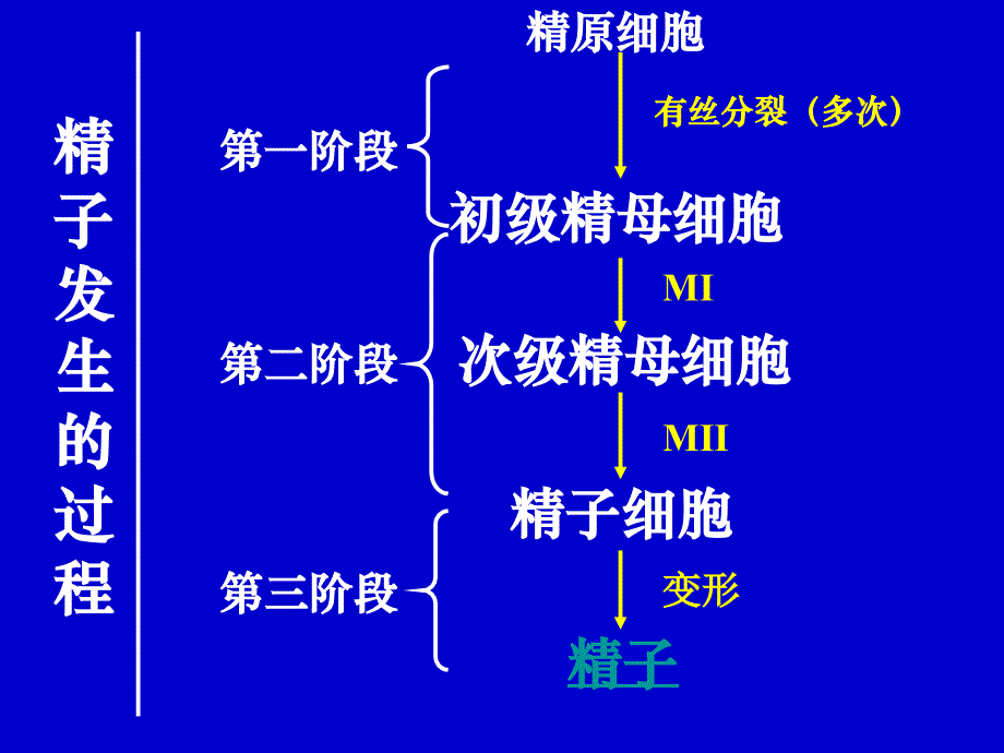 专题三胚胎工程_第4页