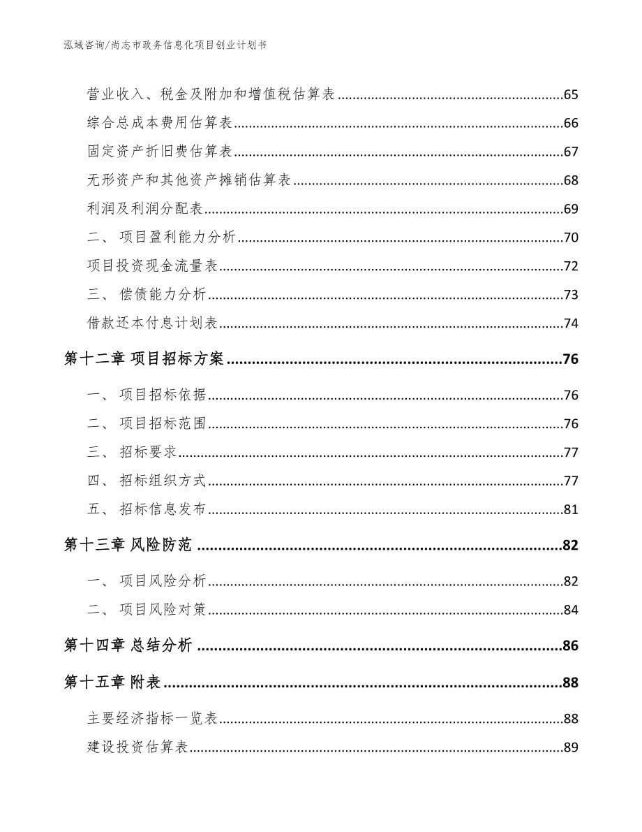 尚志市政务信息化项目创业计划书（模板参考）_第5页