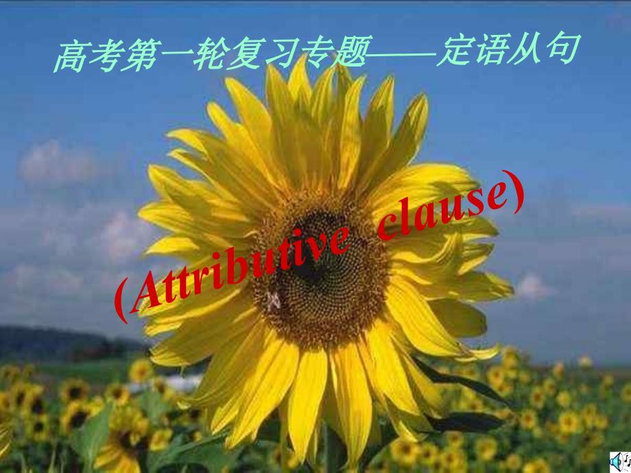 英语课件高考英语定语从句及高考考点分析.ppt