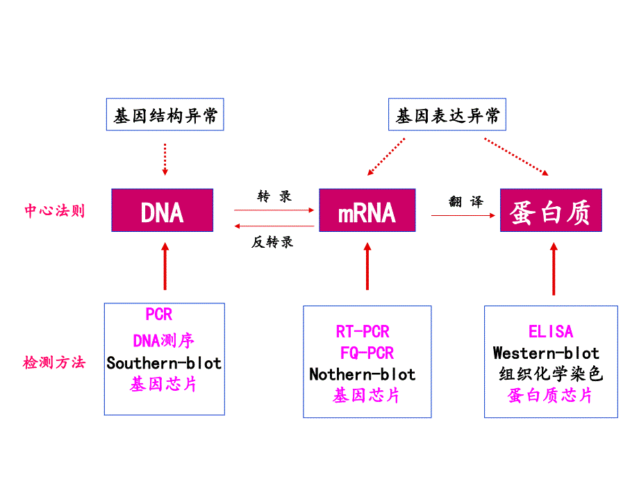 -感染性疾病的诊断_第3页