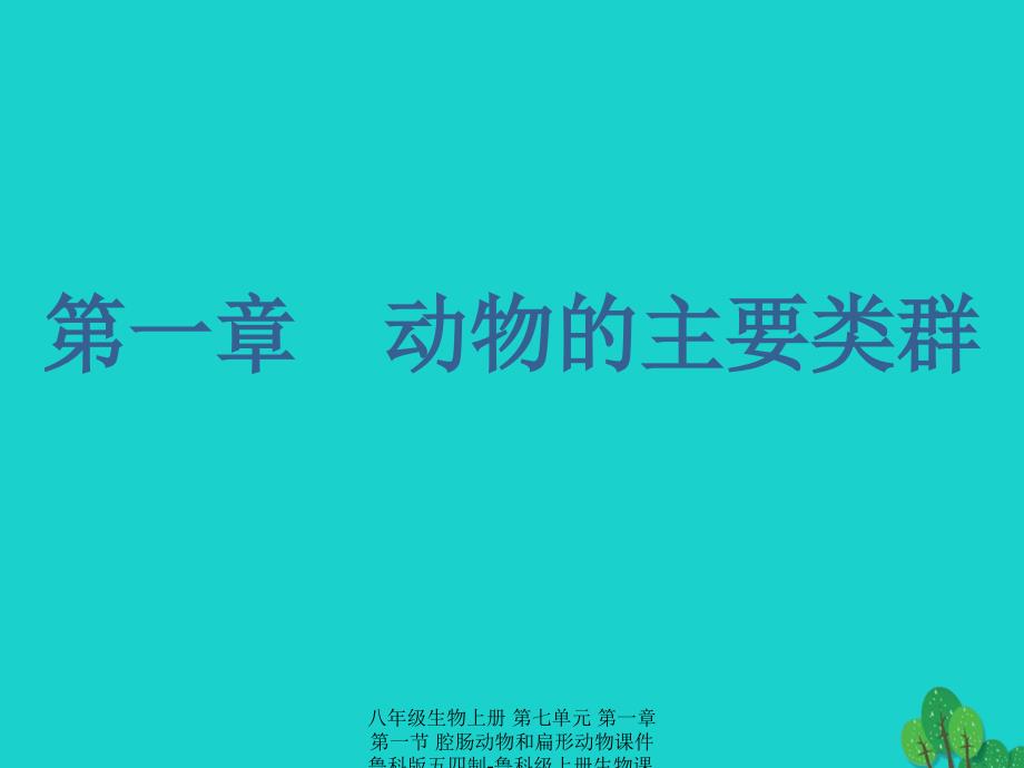 最新八年级生物上册第七单元第一章第一节腔肠动物和扁形动物_第1页