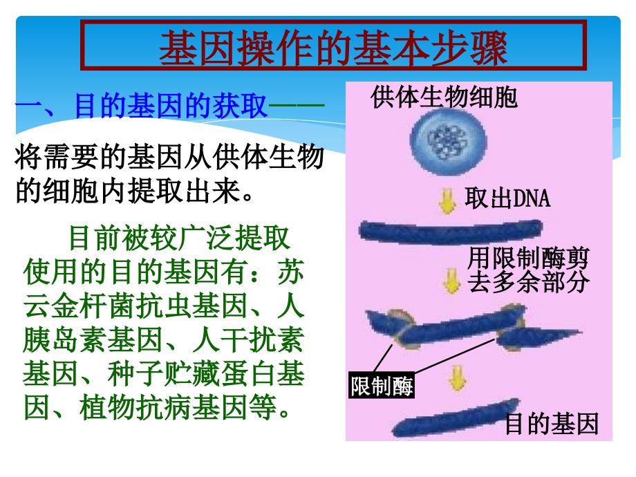 生物12基因工程的基本操作程序ppt选修3_第3页