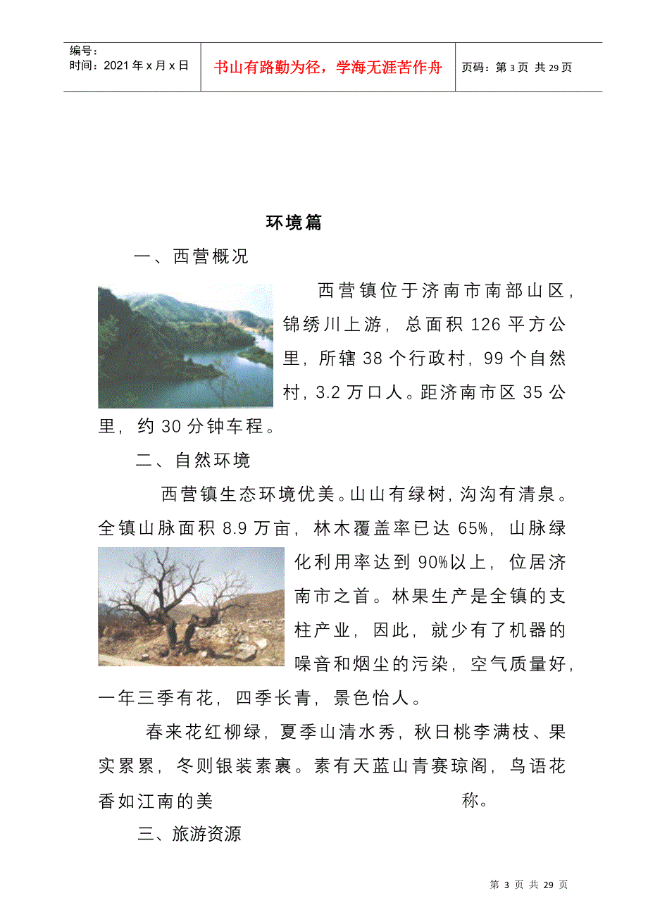 济南西营镇某待建地块规划说明_第3页