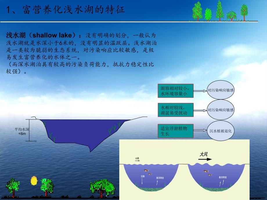 富营养化浅水湖泊沉水植被恢复技术研究课件_第3页