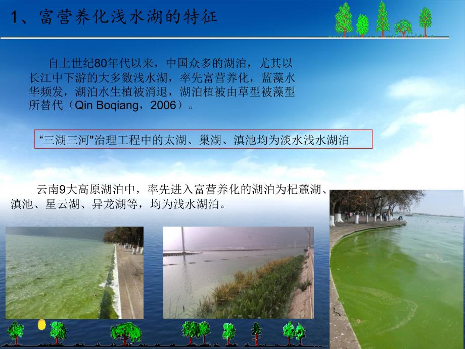 富营养化浅水湖泊沉水植被恢复技术研究课件_第4页