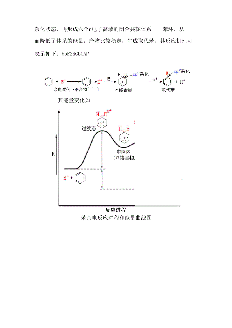 苯环上的亲电取代反应(A)_第2页