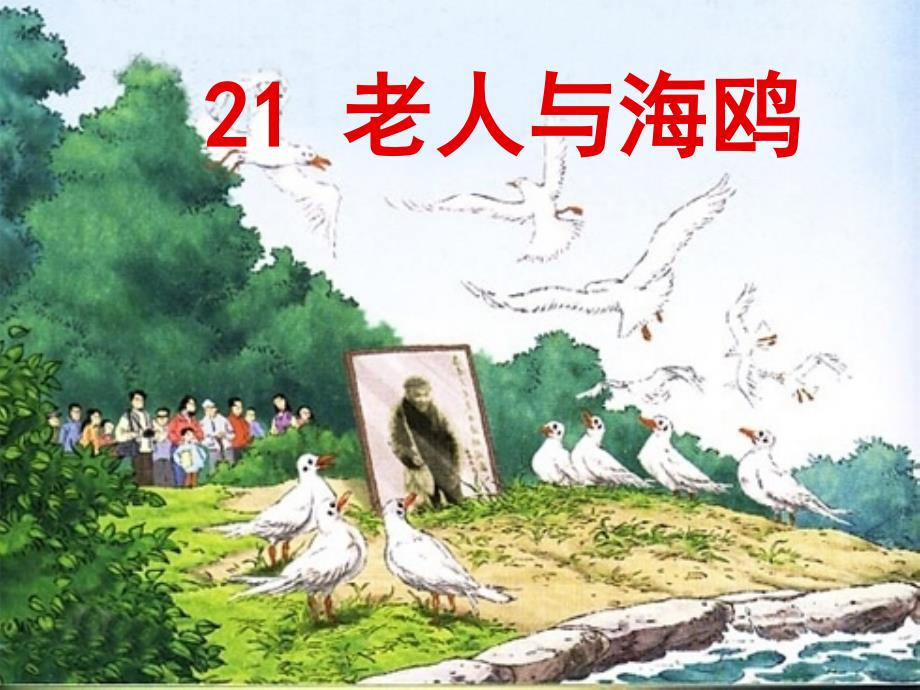 《老人与海鸥》最后定稿课件_第3页