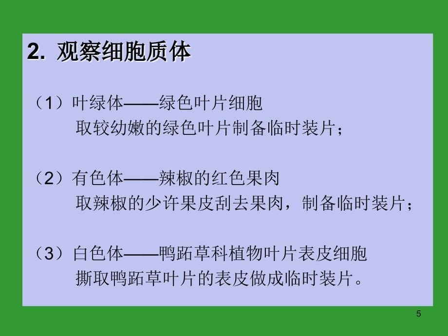 植物形态结构1组织高中生物竞赛ppt课件_第5页