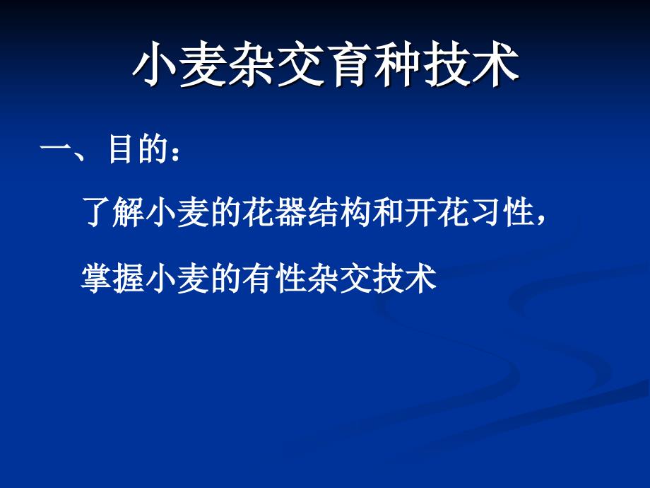 试验一小麦杂交育种技术课件_第3页