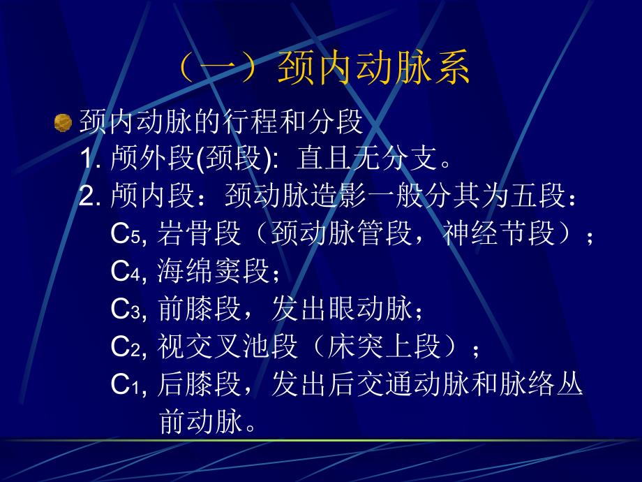 《脑血管应用解剖》PPT课件_第5页