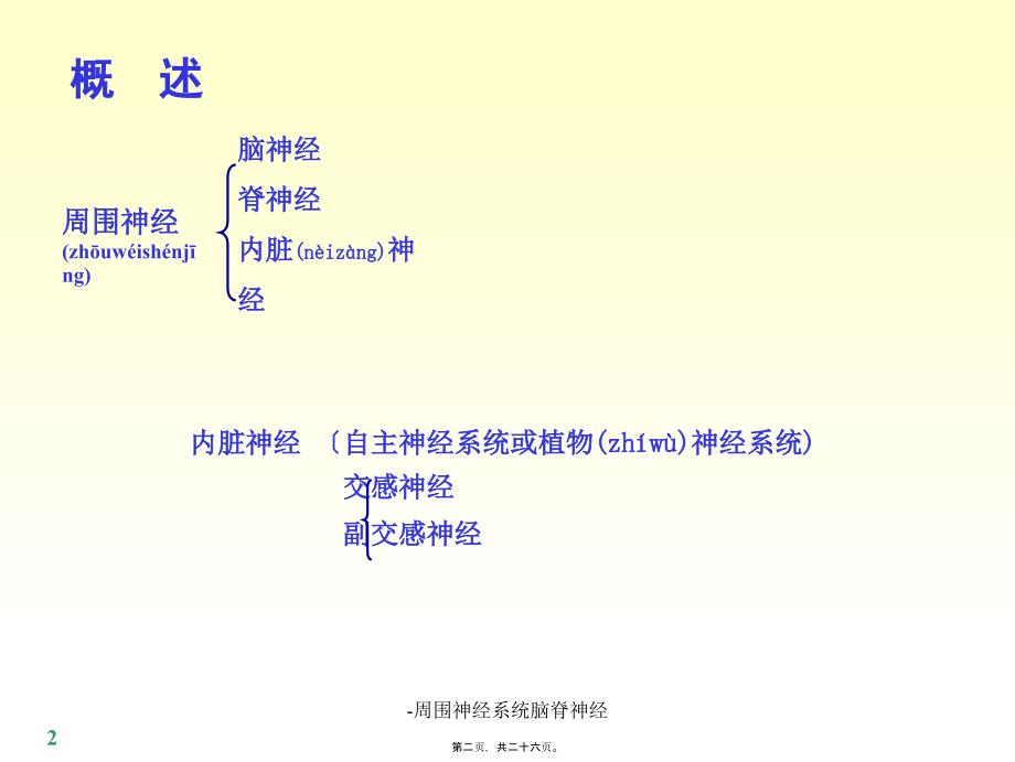 周围神经系统脑脊神经课件_第2页