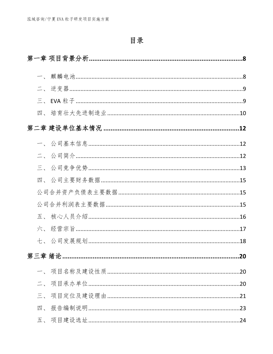 宁夏EVA粒子研发项目实施方案【模板参考】_第2页