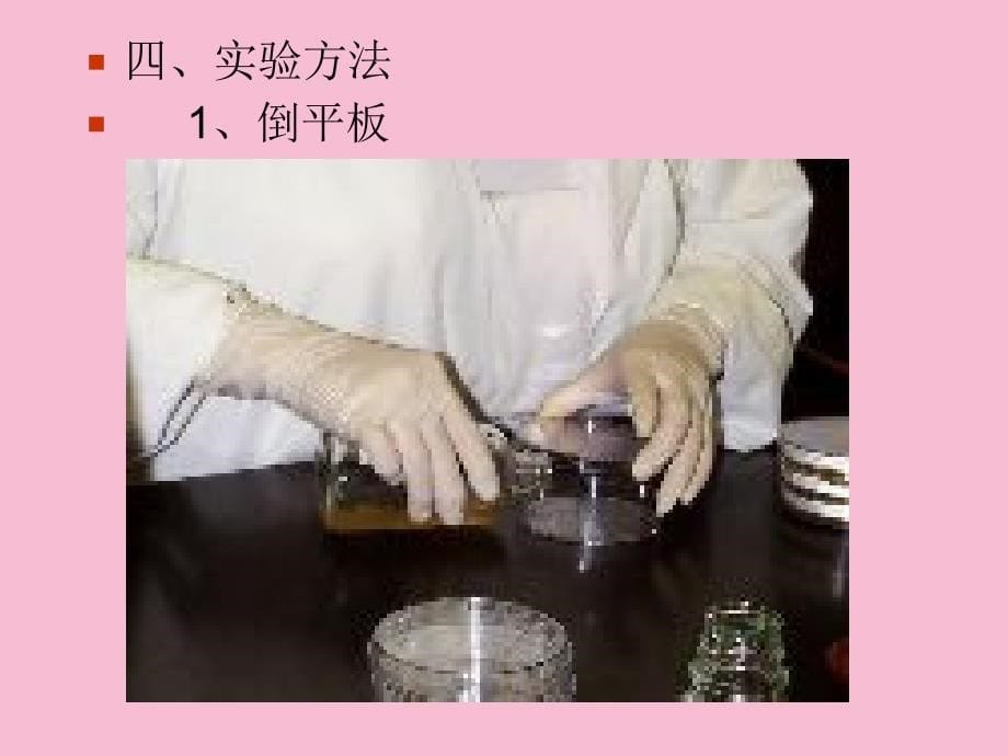 实验四环境中微生物的检测ppt课件_第5页