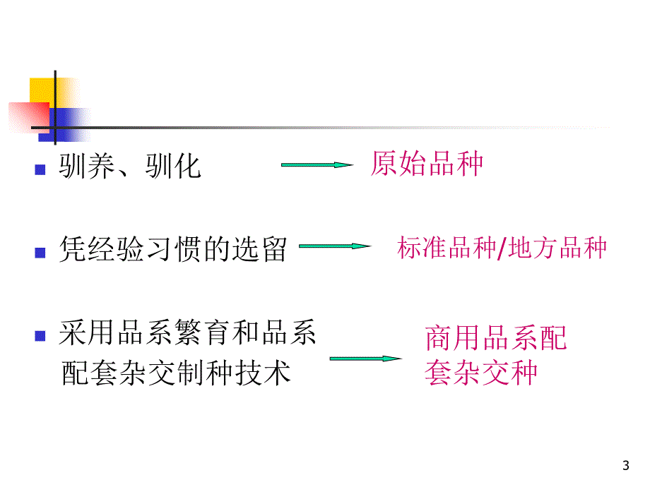 家禽育种技术及繁育体系建设PPT优秀课件_第3页