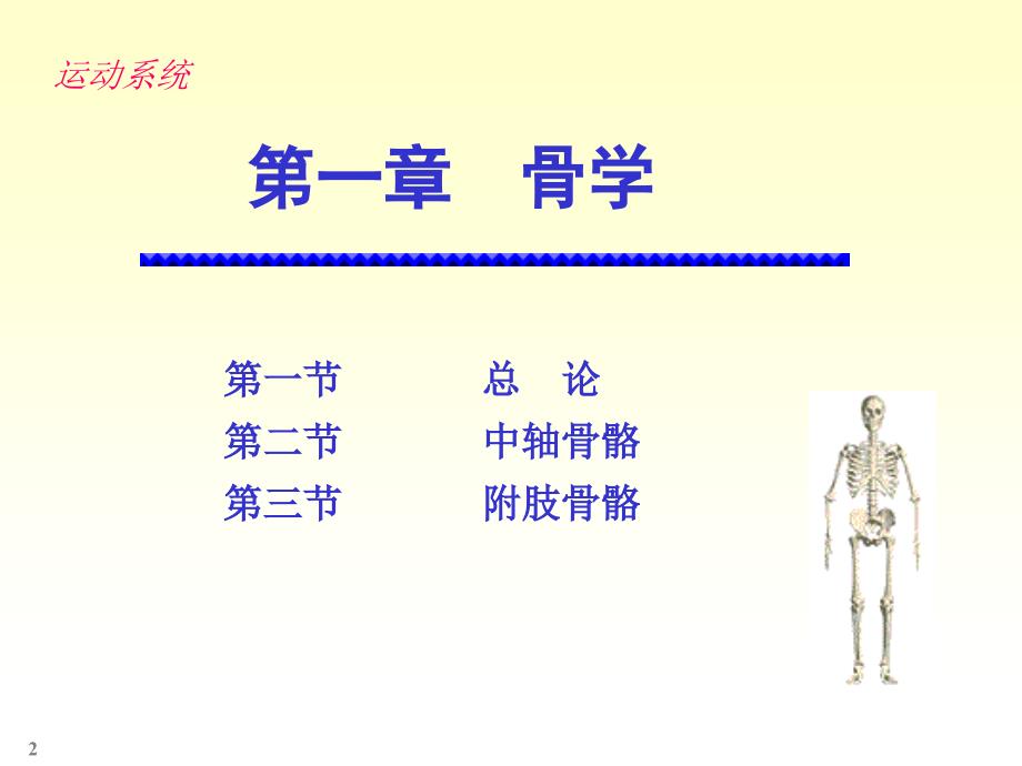 人体解剖实验PPT课件_第2页