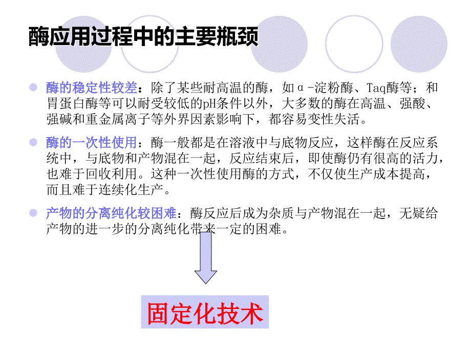 固定化酶和细胞演示PPT_第2页