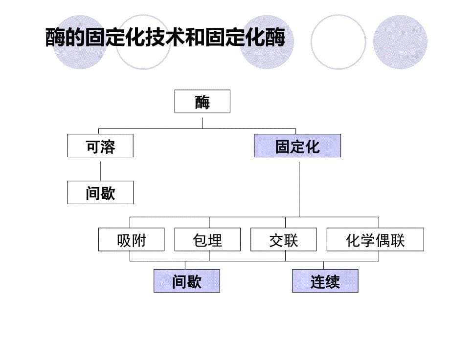 固定化酶和细胞演示PPT_第5页