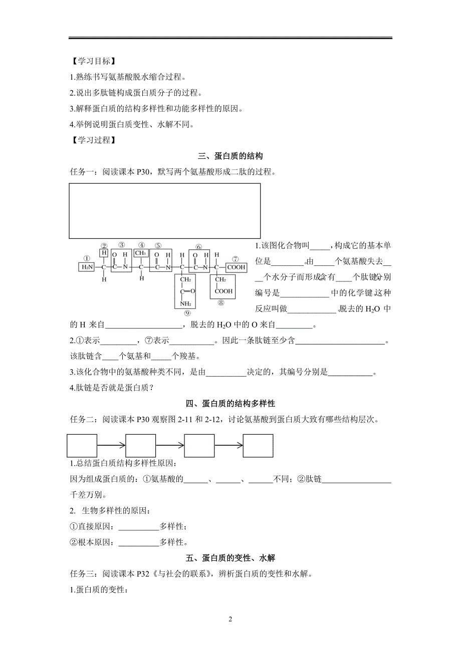 蛋白质是生命活动的主要承担者学案（第2课时） 高一上学期生物人教版必修1.docx_第2页