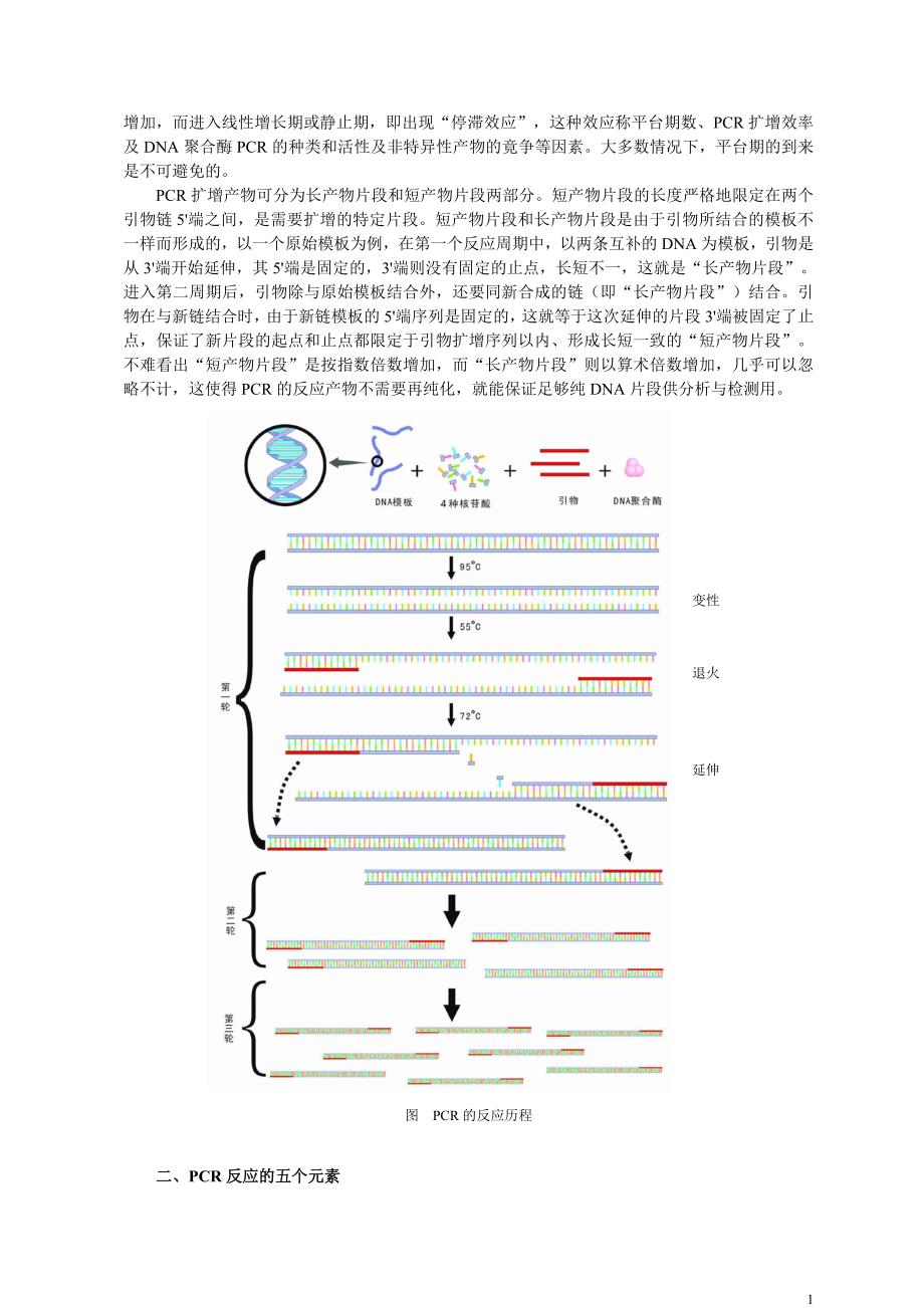 PCR扩增的原理和操作步骤_第2页