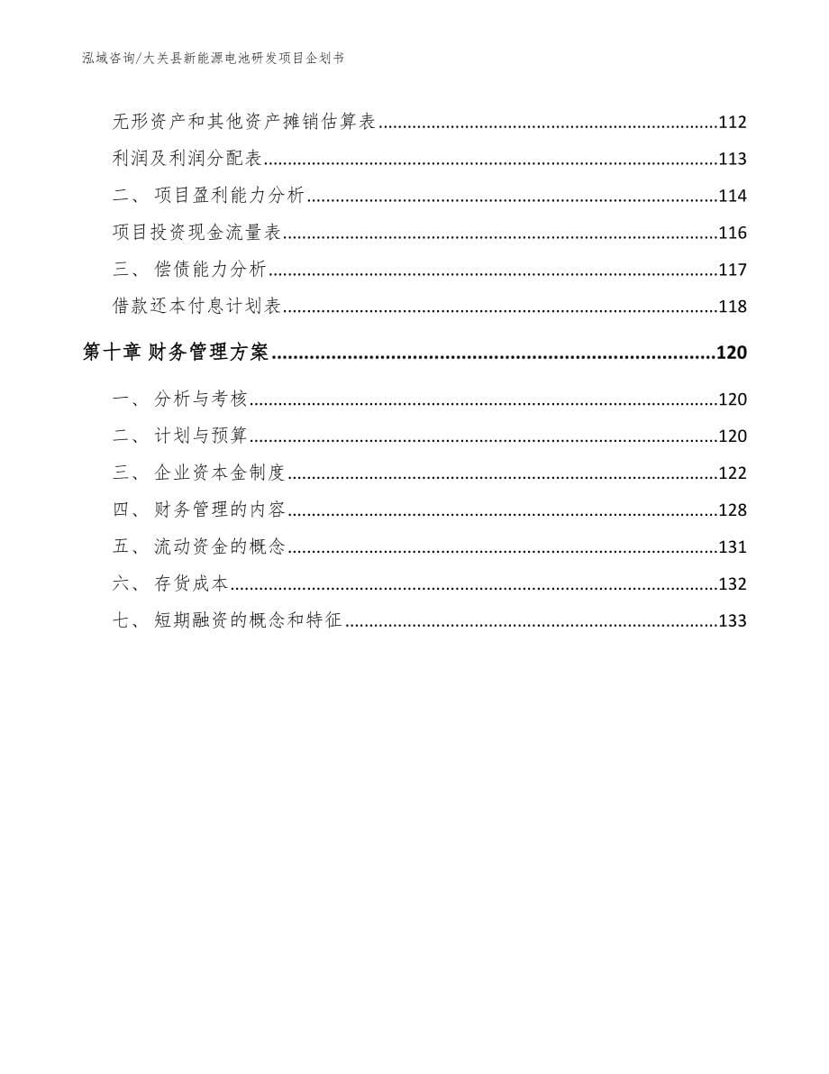 大关县新能源电池研发项目企划书模板范本_第5页
