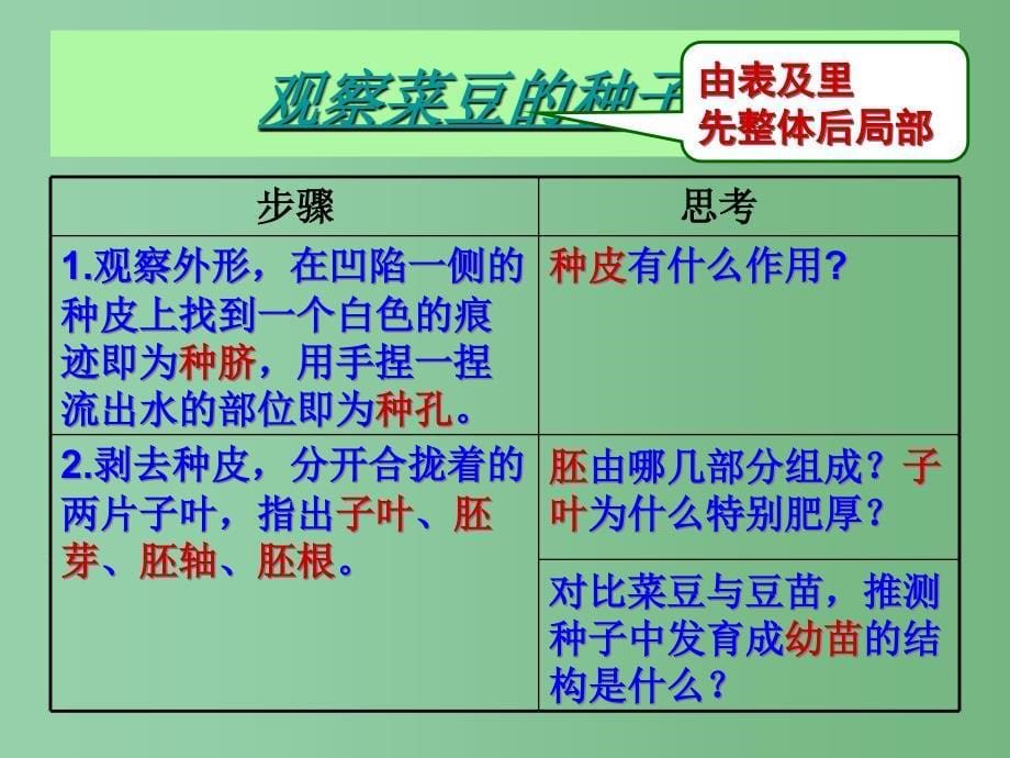 六年级生物下册第三单元第一章第三节种子植物课件鲁科版五四制_第5页