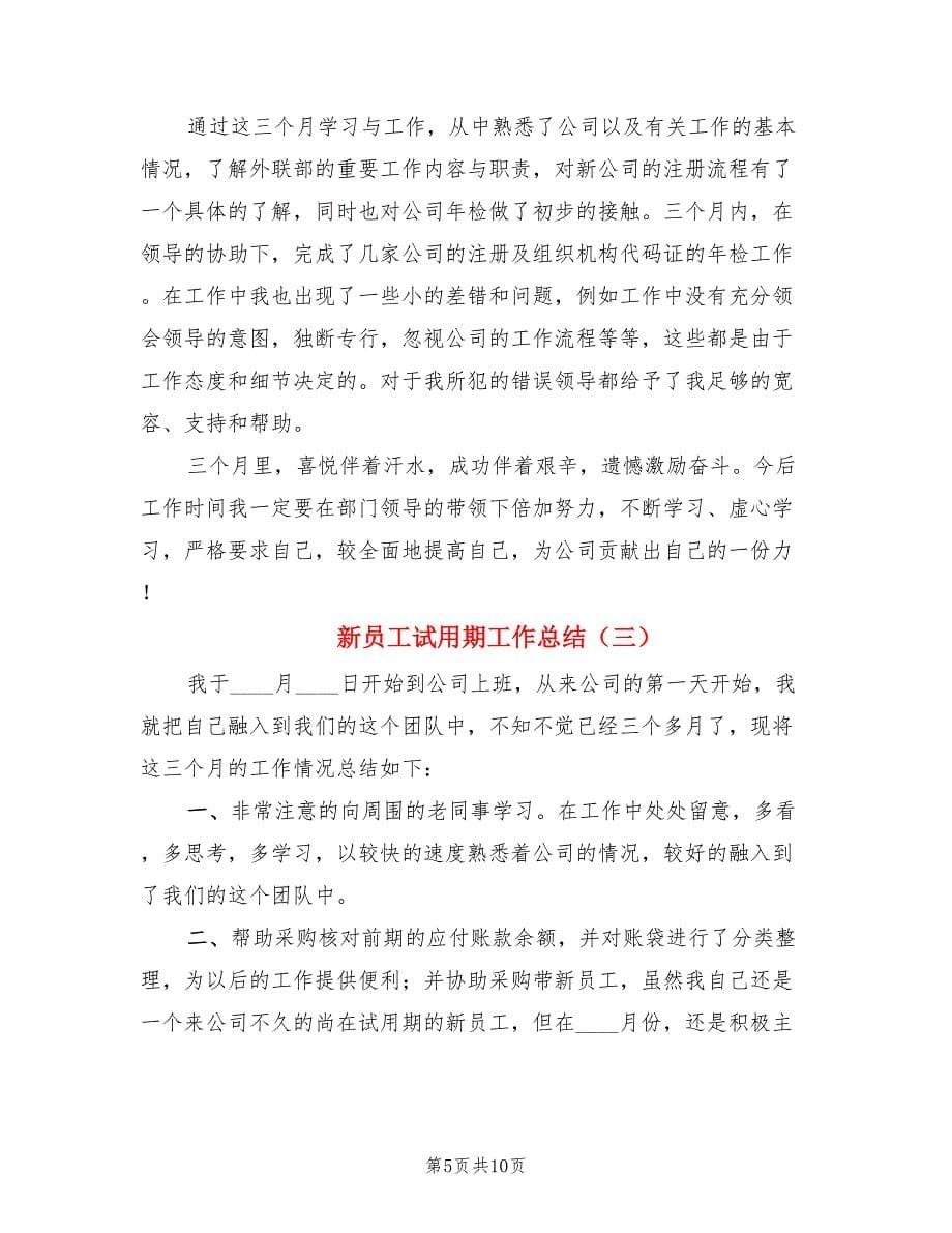 新员工试用期工作总结.doc_第5页