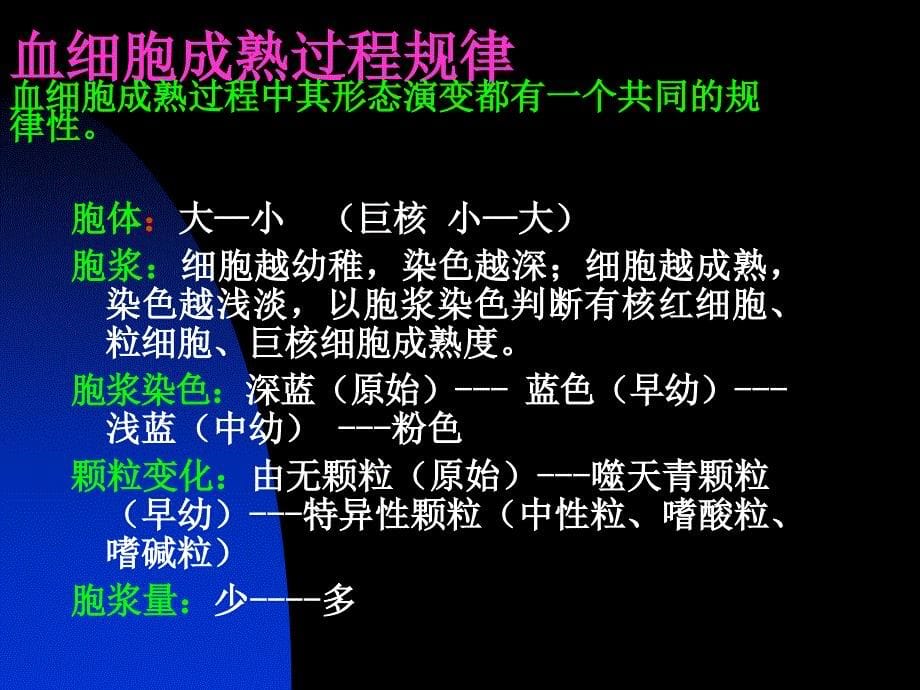 【最新精选】1.骨髓细胞形态_第5页