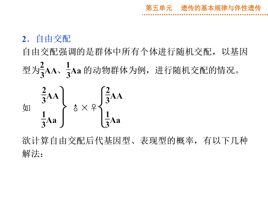 自交与自由交配的问题PPT优秀课件_第3页