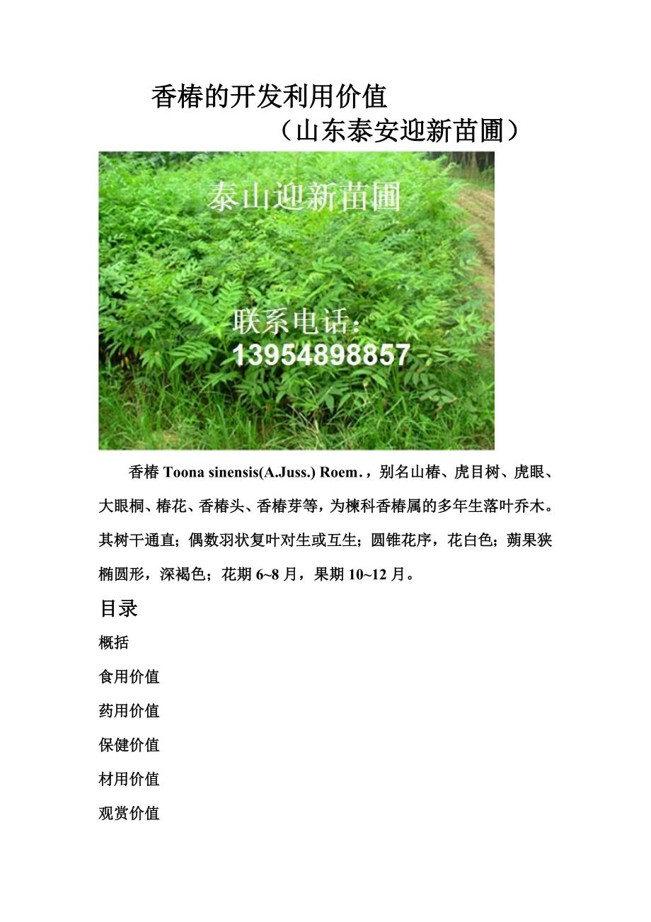 香椿的开发利用价值.doc_第1页